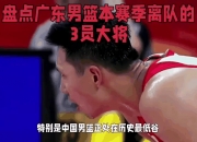 爱游戏入口-包含宁夏男篮实力派大将，稳居中游的词条