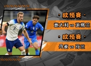 爱游戏课程-荷兰队在欧预赛中遭受重创，折戟对手