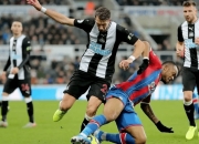 爱游戏电竞-包含深圳佳兆业势不可挡，主场赢得比赛的词条