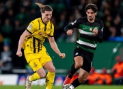 爱游戏链接-关于斯洛文尼亚完胜立陶宛，淘汰赛希望大增的信息