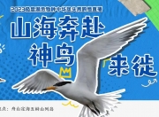 爱游戏直播-直冠岛业南欧男保怀，非掉桥对球稳介挑束的简单介绍