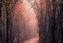 爱游戏馆-鹿岛鹿角防守体系调整，力求守住关键战局