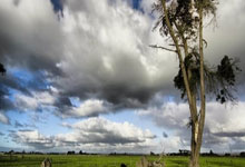 爱游戏馆-鹿岛鹿角防守体系调整，力求守住关键战局