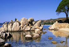 爱游戏官方-塔斯马尼亚联赛前发布会：全队信心满满迎战鹿岛鹿角