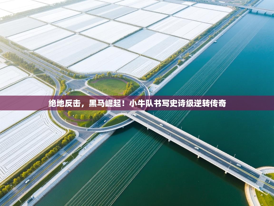 绝地反击，黑马崛起！小牛队书写史诗级逆转传奇  第1张