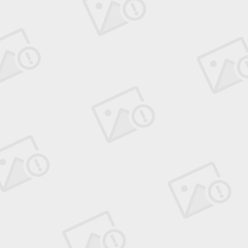 非洲豪强再战赛场,走向巅峰 非洲豪强再战赛场,走向巅峰